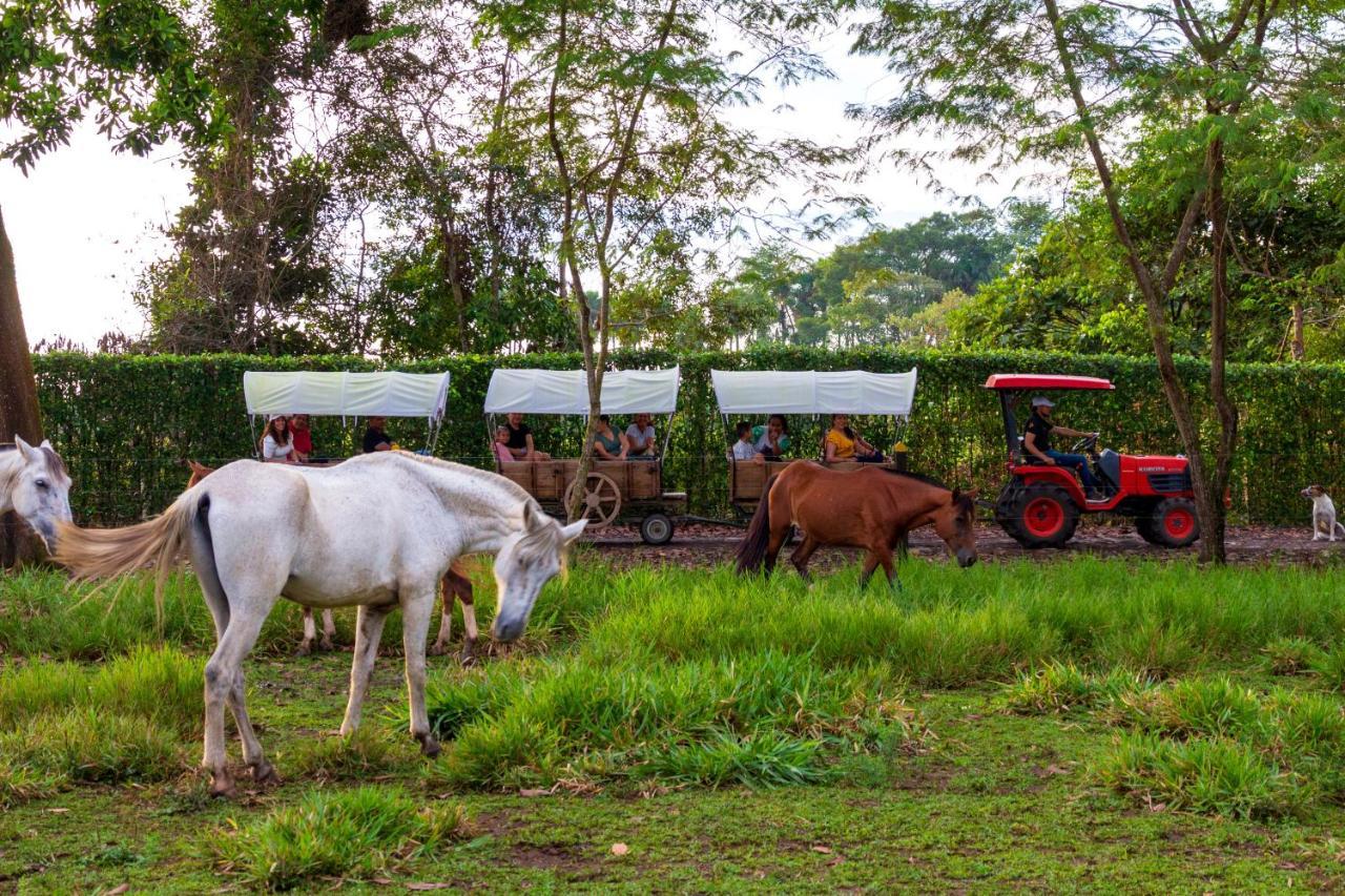 Hotel Campestre La Potra Apiay Kültér fotó